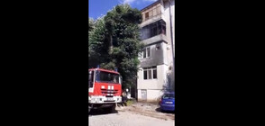 Газова бутилка подпали апартамент в Горна Оряховица, има пострадал (ВИДЕО)