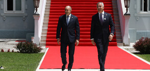 Radev in Montenegro: Bulgaria fully support the Balkan country on its European path
