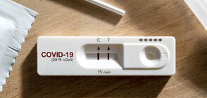 1113 новозаразени с COVID-19 за последното денонощие