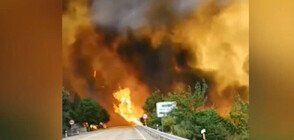 Хиляди евакуирани заради пожарите в Южна Европа