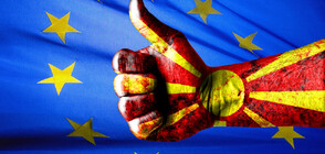 ЕС приветства решението на парламента в Скопие за утвърждаване на преговорната рамка