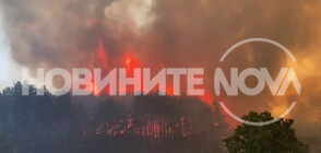 Голям пожар пламна край Подбалканския път, в близост до бензиностанция (ВИДЕО+СНИМКИ)