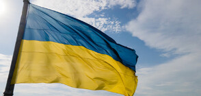 Украйна избра нов прокурор за борба с корупцията