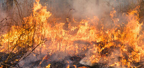 ЕС: Рекордно много пожари в Югозападна Европа през 2022 г.