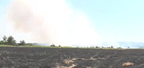 Двата големи пожара, бушуващи в Хасковско, са овладени