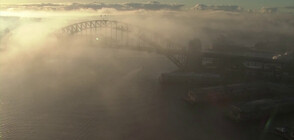 Непрогледна мъгла покри Сидни, обърка въздушния трафик (ВИДЕО)