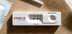 COVID-19: Един на всеки четирима тествани е с положителна проба