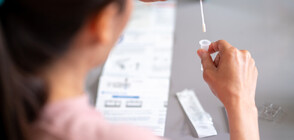 Лекари и пациентски организации настояват PCR тестовете отново да станат безплатни (ОБЗОР)