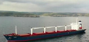 Първият кораб с украинско зърно премина успешна проверка от международните екипи край Истанбул