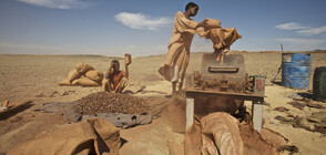 CNN: Русия изнася тонове контрабандно злато от Судан, маскирано като бисквити