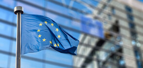 ЕС наложи санкции на Виктор Янукович и сина му