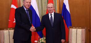 Президентите на Русия и Турция обсъдиха енергетиката