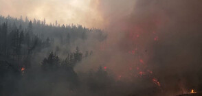 Мощни пожари в щата Вашингтон, евакуираха цял град (ВИДЕО)