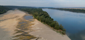 Пустинята "Дунав": Апокалиптични кадри от дрон разкриват ниското ниво на реката (ВИДЕО+СНИМКИ)