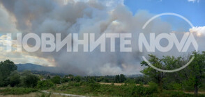 Голям пожар бушува в Пазарджишко (ВИДЕО+СНИМКИ)