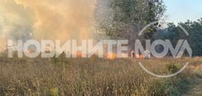 Пожар гори на метри от жилищен квартал в Несебър (ВИДЕО+СНИМКИ)
