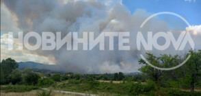 Пожарът в Пазарджишко: Обявиха частично бедствено положение в Елшица