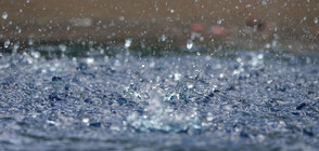 Проливен дъжд в Сеул отне живота на най-малко 7 души (ВИДЕО)