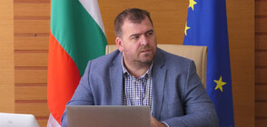 Явор Гечев: Няма риск украинско зърно да се продава като българско