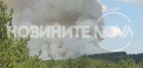 Продължава гасенето на пожара край Елшица (ВИДЕО+СНИМКИ)
