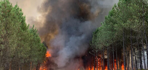Мощни пожари в Южна Франция, наложиха принудителна евакуция (ВИДЕО)