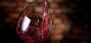 Жегите и сушата застрашават производството на вина във Франция (ВИДЕО)