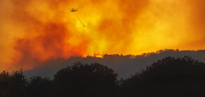 Военни хеликоптери гасиха огромен пожар в топ туристическа дестинация в Черна гора (ВИДЕО)