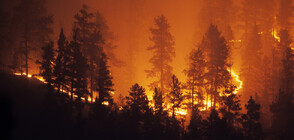 Овладян е големият пожар в Елховско, обхванал близо 5000 дка