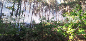 Образуваха досъдебно производство за пожара край панагюрското село Елшица