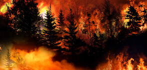 Горещини и унищожителни пожари обхващат Европа (ВИДЕО)
