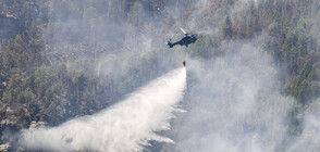 След 20 дни борба с огъня чешките пожарникари изгасиха голям горски пожар