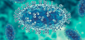 Полиовирус е открит в отпадъчните води в Ню Йорк