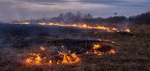 Военни се включват в гасенето на пожарите в Хасковско