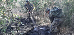Военни помагат за гасенето на пожара край Изворово (СНИМКИ)