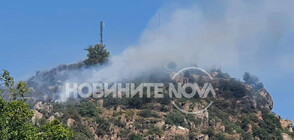 Локализираха пожара на Младежкия хълм в Пловдив (ВИДЕО+СНИМКИ)