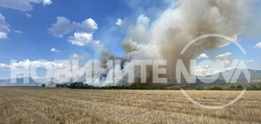 Пожар гори до военния полигон край Казанлък (СНИМКИ)