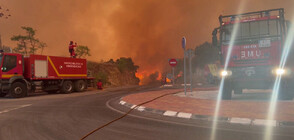 Пожар отново бушува в района на Валенсия (ВИДЕО)