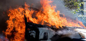 Дъщерята на руския обществен деец Александър Дугин е загинала при взрив на кола бомба край Москва (ВИДЕО+СНИМКИ)