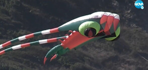 Хвърчила от цял свят в небето над плажа на Велека