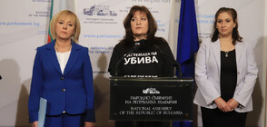 Майките от "Системата ни убива" ще се явят на изборите с "Изправи се, България" на Мая Манолова