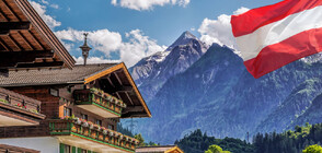 Австрийският президент пострада при инцидент в планината