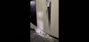 Земетресение нанесе сериозни щети на хотели в Бали (ВИДЕО)