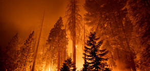 Горските пожари, които бушуват южно от Москва, се разрастват (ВИДЕО)