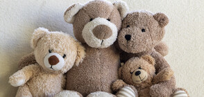 Откриха Клиника за плюшени мечета в зоопарка в Денвър