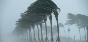 Масова евакуация заради мощна буря във Филипините (ВИДЕО+СНИМКИ)
