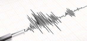 Трус разлюля западното крайбрежие на Индонезия
