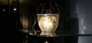 Изложиха балсамираното сърце на португалски крал в двореца Итамарати (ВИДЕО)