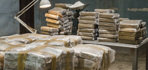 Откриха близо 2 тона кокаин във фураж за животни (ВИДЕО)