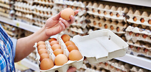 Яйцата у нас са поскъпнали с 30% за година