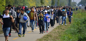 В Хасковска област ситуацията с бежанците е спокойна